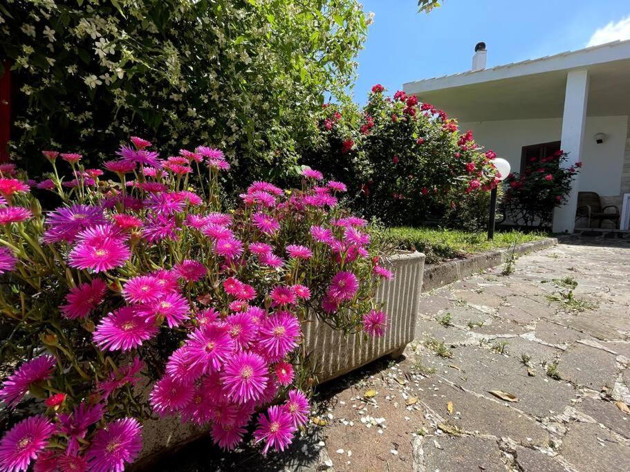 Rose Country Villa Cassano delle Murge Bagian luar foto