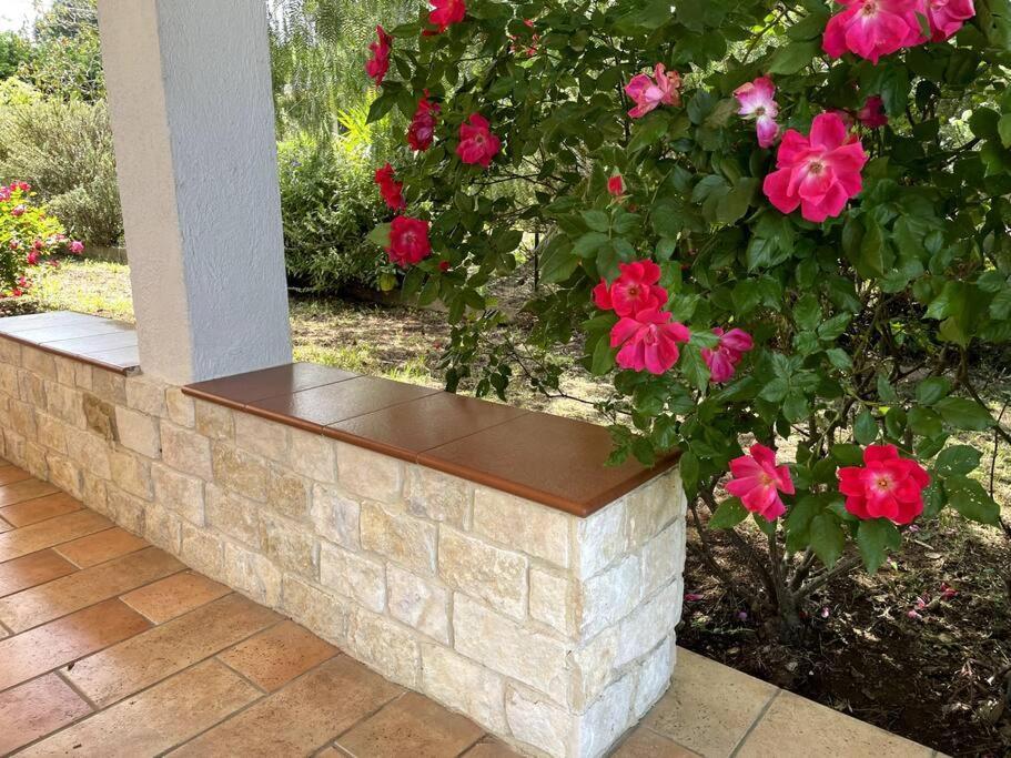 Rose Country Villa Cassano delle Murge Bagian luar foto